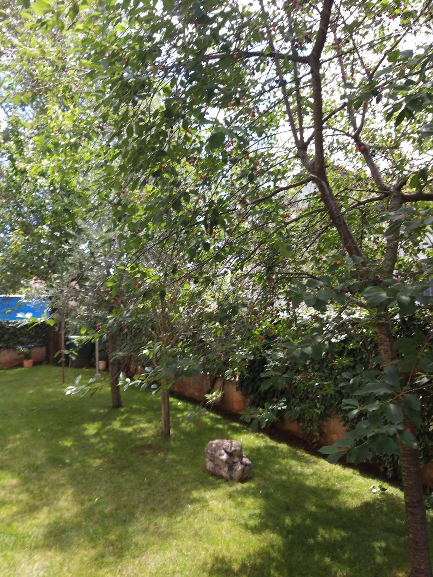 Apartmani Anita مالينسكا المظهر الخارجي الصورة