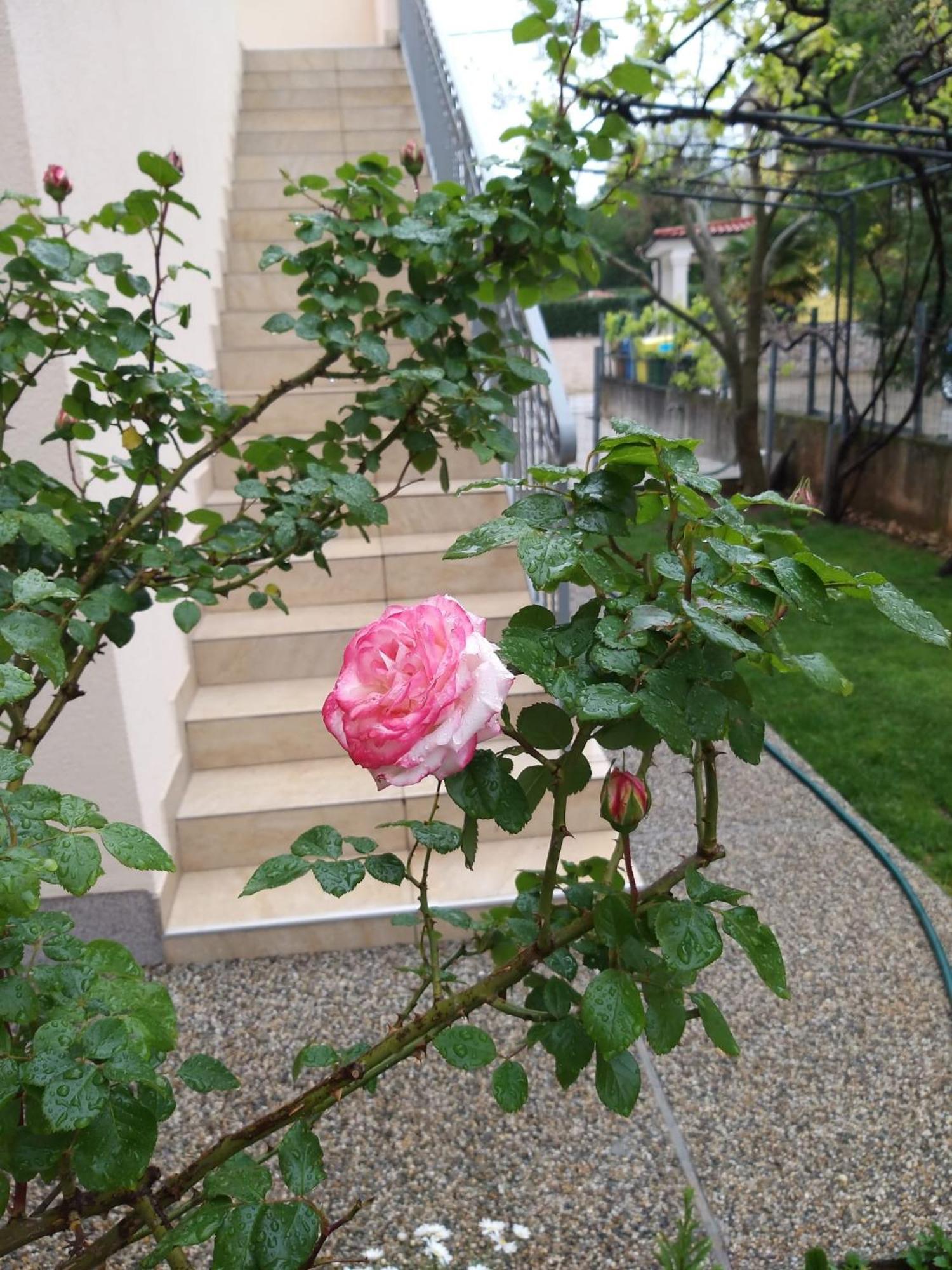 Apartmani Anita مالينسكا المظهر الخارجي الصورة